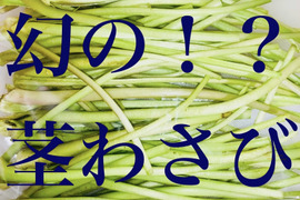 ＼ネコポス❗️受注収穫❗️／新緑の茎わさび『幻の島根３号』（450g)