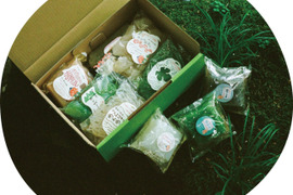 衝撃の食感！絶品もっちり手しごと蒟蒻詰め合わせ10品