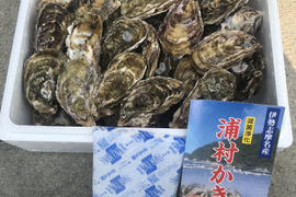 牡蠣好き歓喜の30%増量中！S～Mサイズ 20個入り 1.8Kg 
【生牡蠣】【生食用】三重県産 殻付き 浦村かき(2～4人前）
牡蠣 貝類 海鮮 BBQ バーベキュー 牡蠣パーティ母の日父の日ギフト