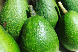 国産「島アボカド」約1kg