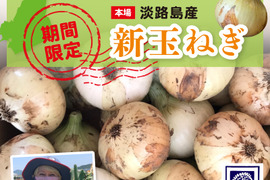 淡路島産　7年新玉ねぎ　極早生最高品種　5キロ