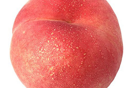 なつっこ　訳あり　5キロ