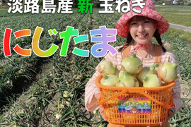 農家直送!! 淡路島産ブランド新玉ねぎ 『にじたま』極早生 一級品 3kgダンボール入り(ご家庭用・9個前後) 使いやすいM・L・2L混在!