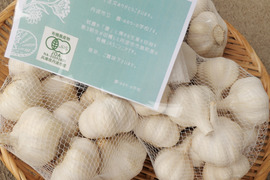 【有機JAS】有機の里☆市島産ニンニク～サイズ不揃い～　500g  （60サイズ）