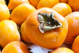 佐渡のたねなし柿　｢島のかき｣5kg(農薬8割減)