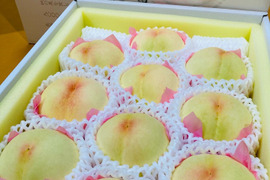 🍑おかやまの白桃　贈答用　大箱【8〜16玉】【予約販売】