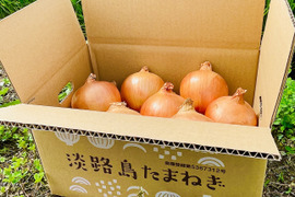 【玉ねぎの王様ターザン】 淡路島玉ねぎ「いくたま」（10kg）