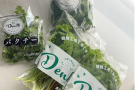 Den園 セット