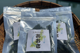 【父の日ギフトにも🎁✨】
手軽に料理に使える！！
乾燥あおさ 五島列島産
 20㌘×3袋セット