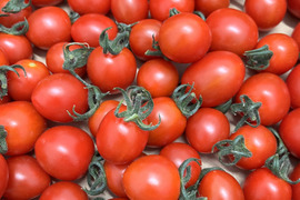 愛媛県産  高糖度ミニトマト 4kg（2kg×2箱）
