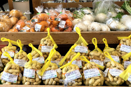 今旬！【生落花生】＜秋限定の大粒#おおまさり2kg＞茹でてホクホク甘い#農薬低減栽培