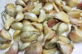 訳ありにんにくバラ　300ｇ★にんにく4-5個分　クリックポスト発送