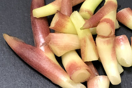 𓆸【全国の生産量90%を誇る高知県産】
𓍯茎みょうが
500g