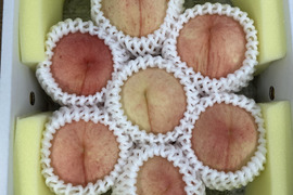 【予約販売】"大久保白桃"５〜８玉入(約2キロ)