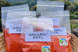 辛くておいしい！山のとんがらし（20g×5袋）【一味唐辛子】