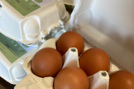 白身がぷるん！レモン色の臭みがない卵！　のんびりたまご　平飼い卵　12個