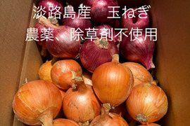 【父の日ギフト】農薬、除草剤不使用！淡路島玉ねぎ1.5kg 紫玉ねぎ 赤玉ねぎ1.5kg 計3kg