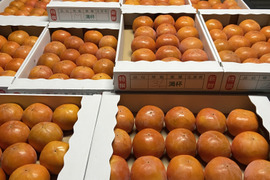 柿の王道！富有柿　3キロ　豊作祭り柿のドライフルーツ小袋おまけ付き