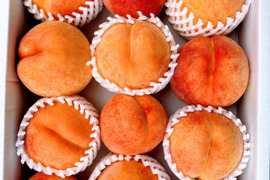 信州生まれのジューシーなワッサー！　
固い桃の好きな方、
やみつき間違いなしの味。
（12個　3.5Kg）
木で完熟するまで待ってお送りします