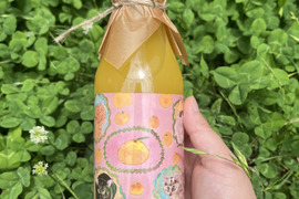 【ギフト対応できます】農薬使用せず育てた甘夏ストレートジュース500g2本