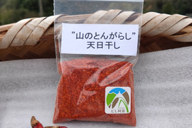 辛くておいしい！山のとんがらし（20g）【一味唐辛子】