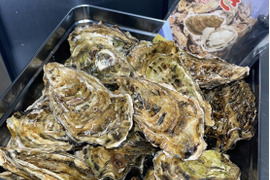 【生牡蠣】【生食用】三重県産 浦村かき カンカン焼き 1缶（殻付き Mサイズ牡蠣 約40～50個前後、約4キロ入り）
牡蠣 カキ 貝類 海鮮 BBQ お歳暮 バーベキュー カキパーティ 母の日父の日