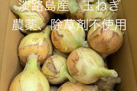 農薬、除草剤不使用！淡路島玉ねぎ3kg