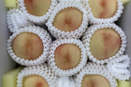 【予約販売】岡山県産"あかつき"5～8玉入り（約２キロ）