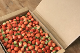 苺小粒のみ、気にしない方限定🍓バラ詰苺（約1000g）ジャムや加工に！