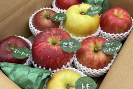 🍎(家庭用)5品種詰め合わせ🍎3キロ   おまかせ 商品ID171041