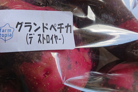 北海道産グランドペチカ5