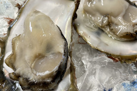 海のミルク！笹川流れの天然岩牡蠣 Lサイズ　5個
