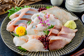 【盛り付けるだけ】切れてる刺身5点セット／活〆、３Ｄ冷凍