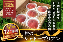 🍑お中元ギフト🍑【2025年7月上旬予約】あしたの内村!!ニノさんTV話題沸騰！圧倒的糖度幻のシャトーブリアン桃1本の樹からわずか3%しか取れない超希少な桃5個【贈答用桐箱入り】【朝どれ】