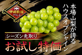 【2025年6月上旬予約シャインマスカット】本場山梨の旬を全国に先駆けて最高糖度でお届け！甲州戦国ブランド『ハウスオブシャイン』お試し特価キャンペーン約1キロ【朝どれ】