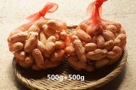 （4kg）茹でて最高の大粒落花生＜おおまさり＞