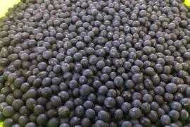 北海道産 黒千石大豆2(レターパックで発送します）
