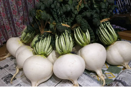 お陰様で２０２５年完売しました👨‍🌾
生でたべたら梨みたいな桜島大根🌋葉付き1本レシピ付き桜島大根専用箱で発送します！