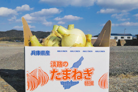【淡路島産】 地元農家でも評判の甘くて美味しい新玉ねぎ七宝 3kg