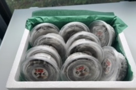 【夏ギフト】青森県大間産　もずく１０Pセット