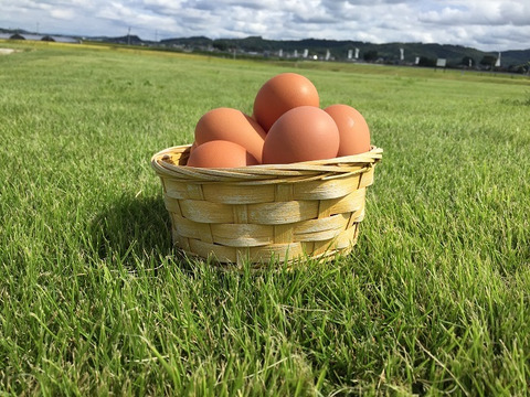 大家族・業務用160個💦オレンジ色が鮮やか🎵濃厚な黄身🍳黒麴育ちの赤たまご160個