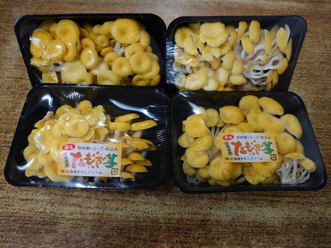 注目の食材！北海道産！生タモギ茸 60g×5P