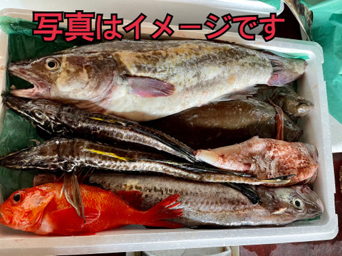 竹コース【知床羅臼直送】　船頭にお任せ！鮮魚ボックス（詰め合わせ) 海鮮セット