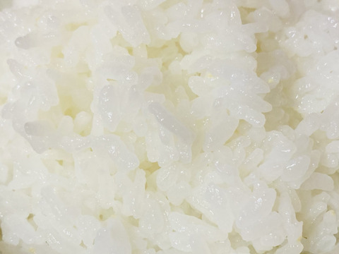 【令和６年産 新米１０ kg 】本当においしいお米食べた事ありますか？熊本県特産『くまさんの輝き』遂に！販売開始！※玄米でも発送可能です！
