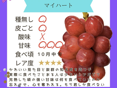たっぷり♡スペシャル6種食べ比べ♡つぶつぶパック1キロ♡山形県産ぶどう