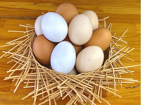 １日１セット限定!!国産鶏種もみじの新鮮たまご90個(１パック割れ保障、もみじ卵10個×１０パック入り）