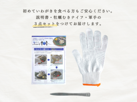 【岩牡蠣】【数量限定！】生食可！不揃いいわがき！Mサイズ（20～25個入）