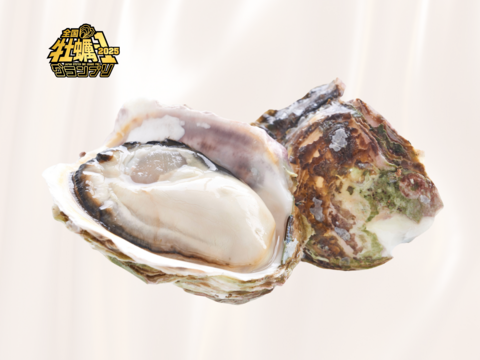 【2025牡蠣-1🏆金賞受賞】生食可！いわがき春香Mサイズ（235g〜300g）10個入【岩牡蠣】