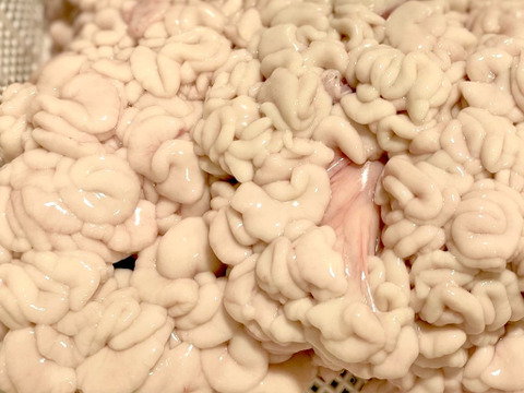 【知床らうす直送】マダラ 白子 タチ 300g 2パック 真鱈 マダチ ※価格は時価です キク 雲子 たちポン タチ天 等