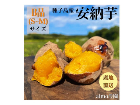 【期間限定】種子島産 新じゃが(SML)＆熟成安納芋B品(S~Mサイズ) セット ｜1箱2kg(箱別)